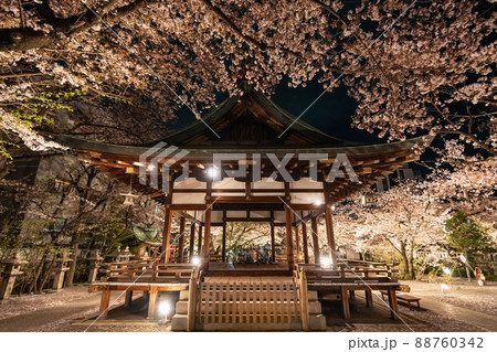 天孫神社の舞殿と桜ライトアップ 天孫神社の舞殿と桜ライトアップ 88760342