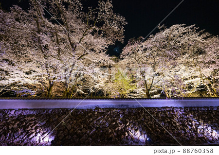 三井寺の石垣塀と桜 三井寺の石垣塀と桜 88760358