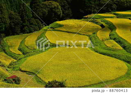 うへ山の棚田より うへ山の棚田より 88760413