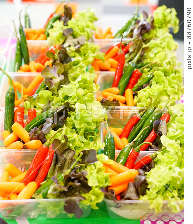 Vegetable ingredient; red/green chilli and oak, carrot. Vegetable ingredient; red/green chilli and oak, carrot. 88760790