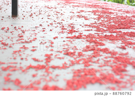 china cracker spread on the floor 88760792