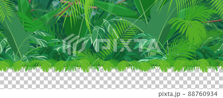 Tropical plants_Jungle landscape illustrations_Seamless 88760934