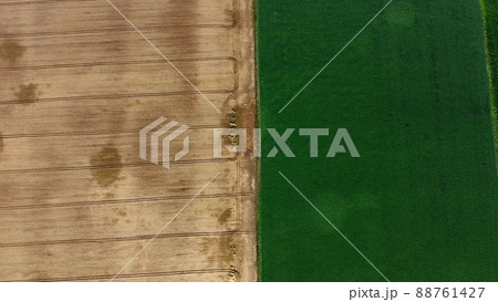Aerial drone view border between yellow wheat field and green agricultural field 88761427