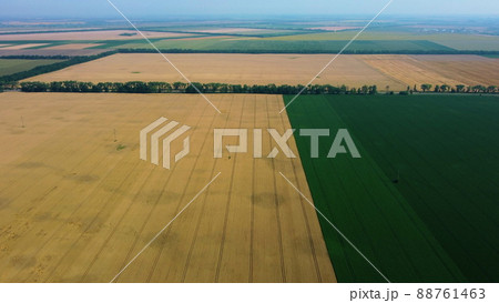 Big wheat field. Different agricultural fields. Panoramic view Big wheat field. Different agricultural fields. Panoramic view 88761463