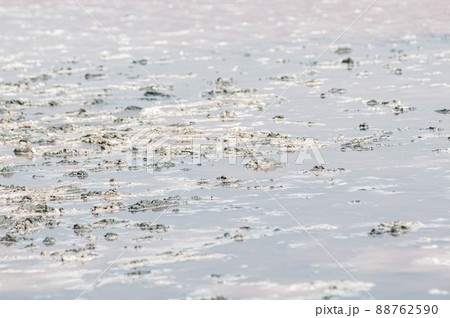 Pink salt lake with the mud 88762590