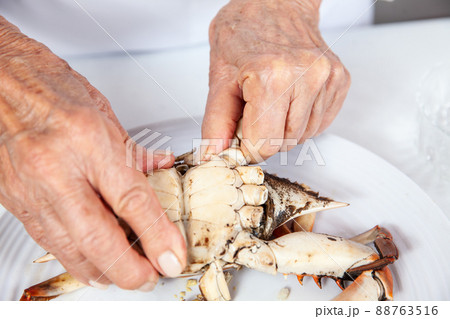 Close up of  the process of breaking down a fresh crab to take out the flesh 88763516