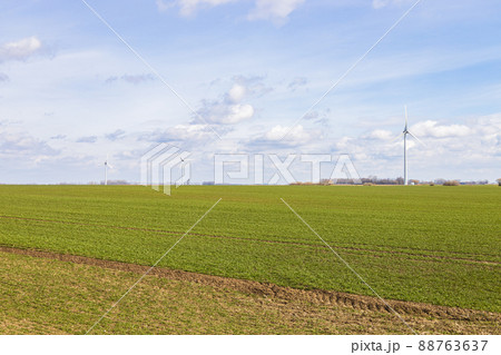 The agricultural field under blue sky and silhouettes of wind power turbines The agricultural field under blue sky and silhouettes of wind power turbines 88763637
