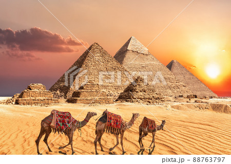 Camel caravan near the Giza Pyramids of Egypt Camel caravan near the Giza Pyramids of Egypt 88763797