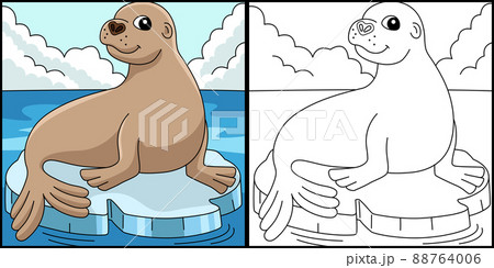 Sea Lion Animal Coloring Page Colored Illustration Sea Lion Animal Coloring Page Colored Illustration 88764006