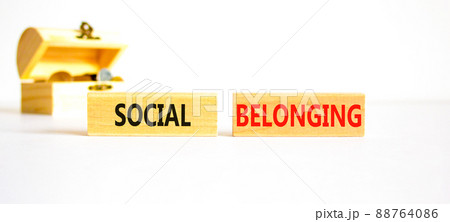 Social belonging symbol. Wooden blocks with concept words Social belonging on beautiful white background. Wooden chest with coins. Business political social belonging concept. Copy space. 88764086