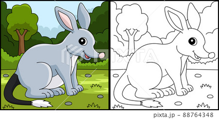Bilby Animal Coloring Page Colored Illustration 88764348