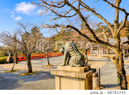 京都、鞍馬寺の本殿の狛虎 88765245