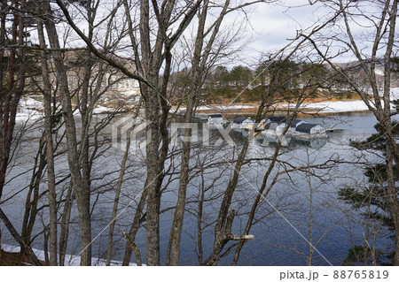 春の岩洞湖 88765819