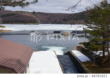 春の岩洞湖 88765821