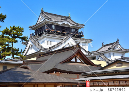 愛知県岡崎市の岡崎城 愛知県岡崎市の岡崎城 88765942