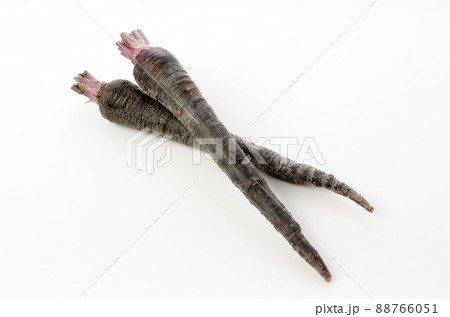 黒にんじん 88766051