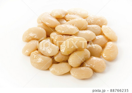 白花豆の煮豆 白花豆の煮豆 88766235