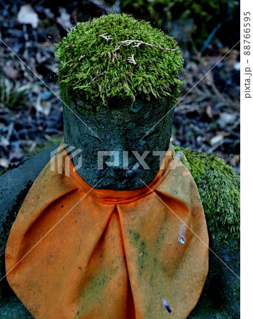 秩父札所第三十番法雲寺の風景 秩父札所第三十番法雲寺の風景 88766595