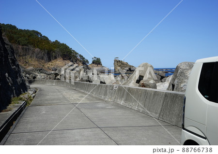 春の茂師海岸 春の茂師海岸 88766738