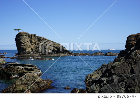 春の茂師海岸 88766747