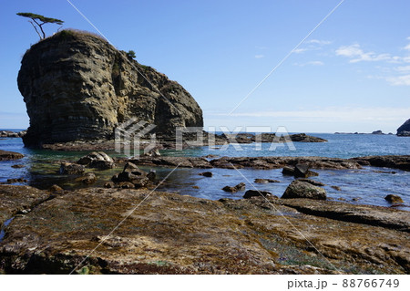 春の茂師海岸 88766749