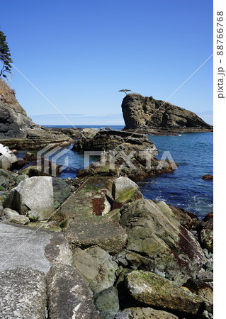 春の茂師海岸 春の茂師海岸 88766768