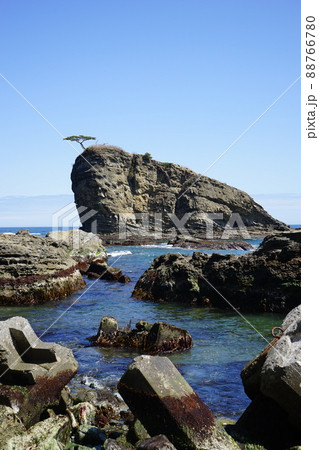 春の茂師海岸 春の茂師海岸 88766780