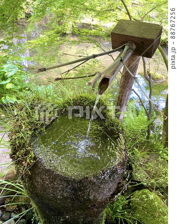 三千院の苔むした縁先手水鉢 京都 大原の写真素材 [88767256] - PIXTA