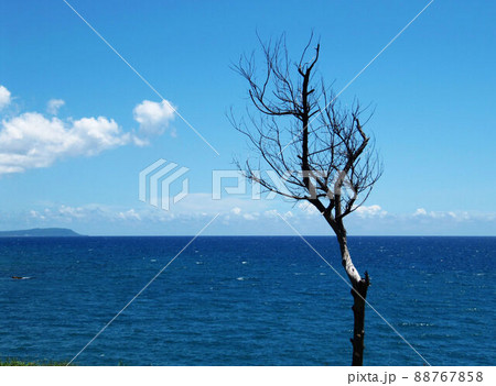 海景 シーパラダイス 海風景 88767858