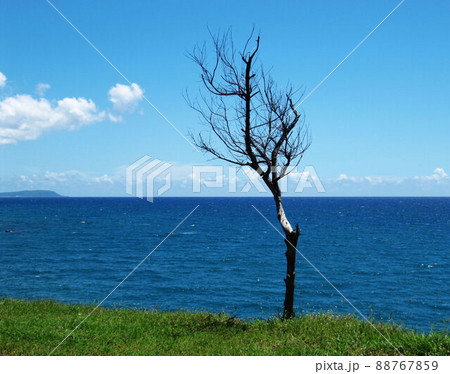 景色 風景 海 88767859