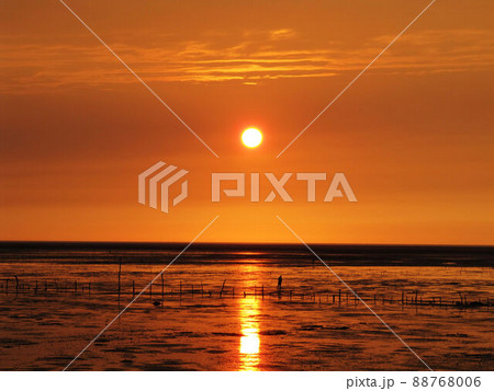 夕暮れ 夕日 夕焼け 88768006