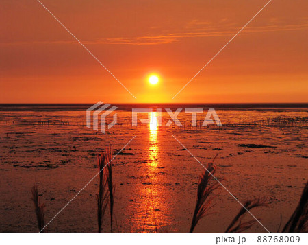 夕暮れ 夕日 夕焼け 88768009