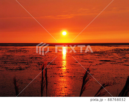 夕暮れ 夕日 夕焼け 88768032