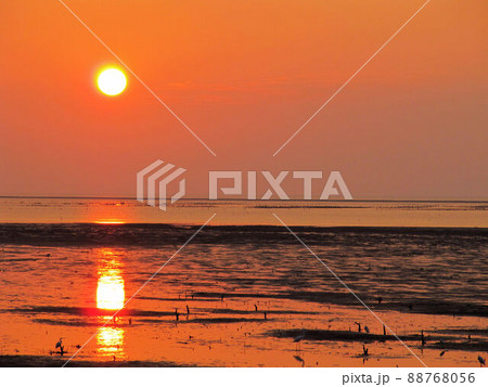 夕闇 たそがれ 薄暮 88768056