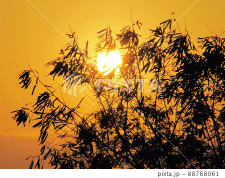 夕闇 たそがれ 薄暮 88768061