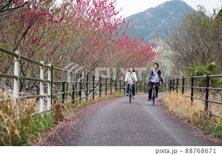 春のメイプル耶馬サイクリングロード 春のメイプル耶馬サイクリングロード 88768671