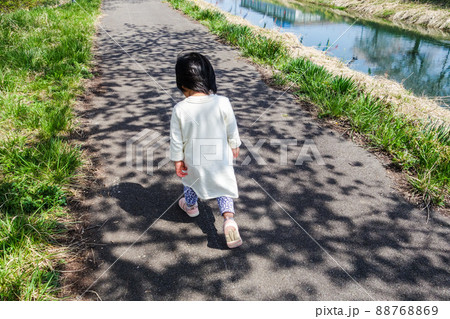 堤防　木洩れ日　女の子　歩く 88768869