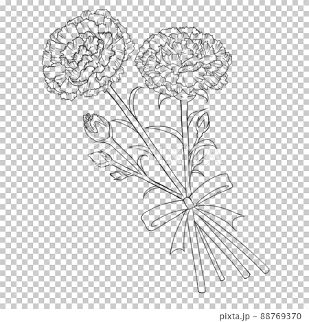 康乃馨黑線畫的簡單圖解 康乃馨黑線畫的簡單圖解 88769370