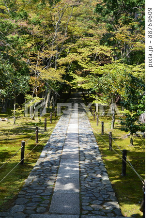 鹿王院の庭園（京都市右京区嵯峨北堀町） 88769609