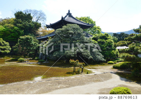 鹿王院の舎利殿と庭園（京都市右京区嵯峨北堀町） 88769613