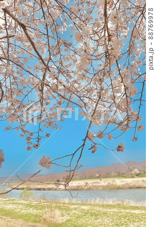 ポップな景色 88769978