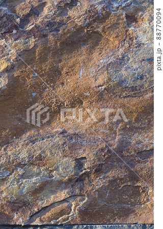 外壁 外壁 88770094