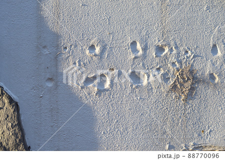 外壁 外壁 88770096