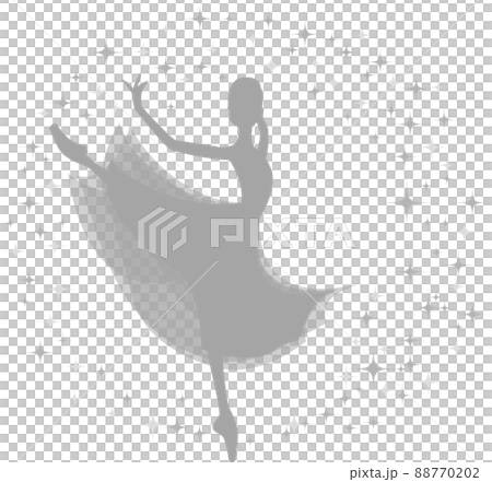 Gray silhouette ballerina amore Gray silhouette ballerina amore 88770202