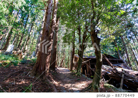 倒壊した民家と山道 88770449