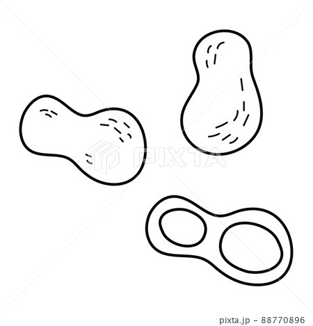 ピーナッツのシンプル線画イラストのイラスト素材 7706