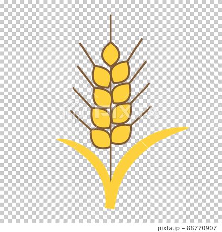 麦のシンプルカラーイラストのイラスト素材 [88770907] - PIXTA