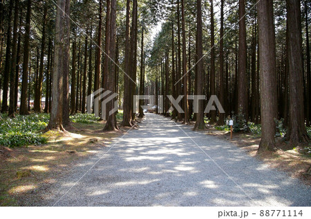 御殿場 秩父宮記念公園 御殿場 秩父宮記念公園 88771114