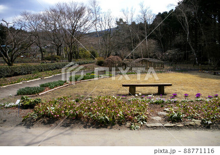 御殿場　秩父宮記念公園 88771116