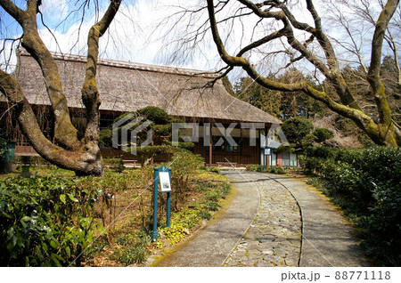 御殿場　秩父宮記念公園 88771118